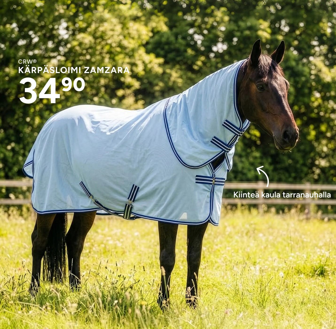fly sheet horse