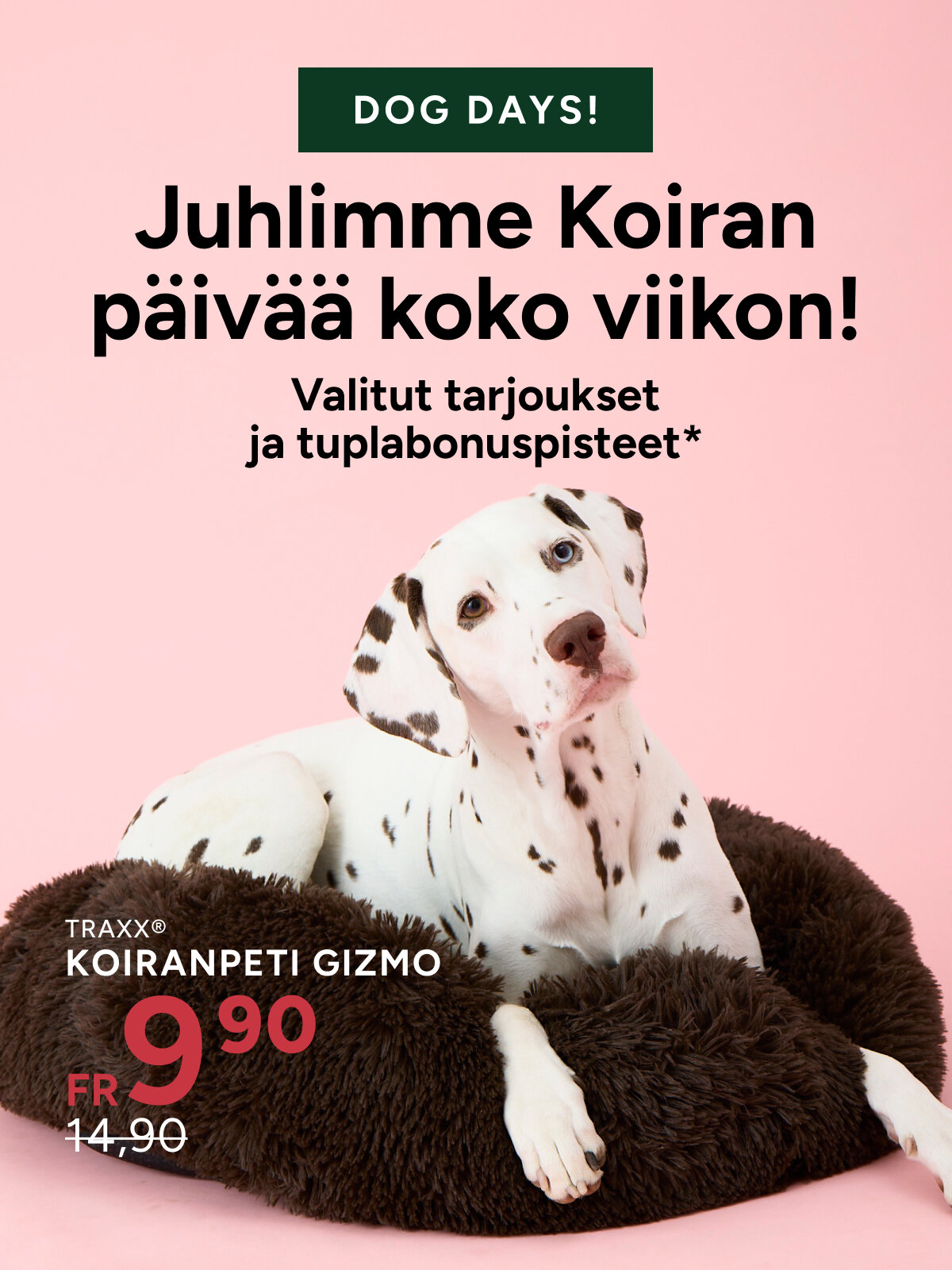 dog deals