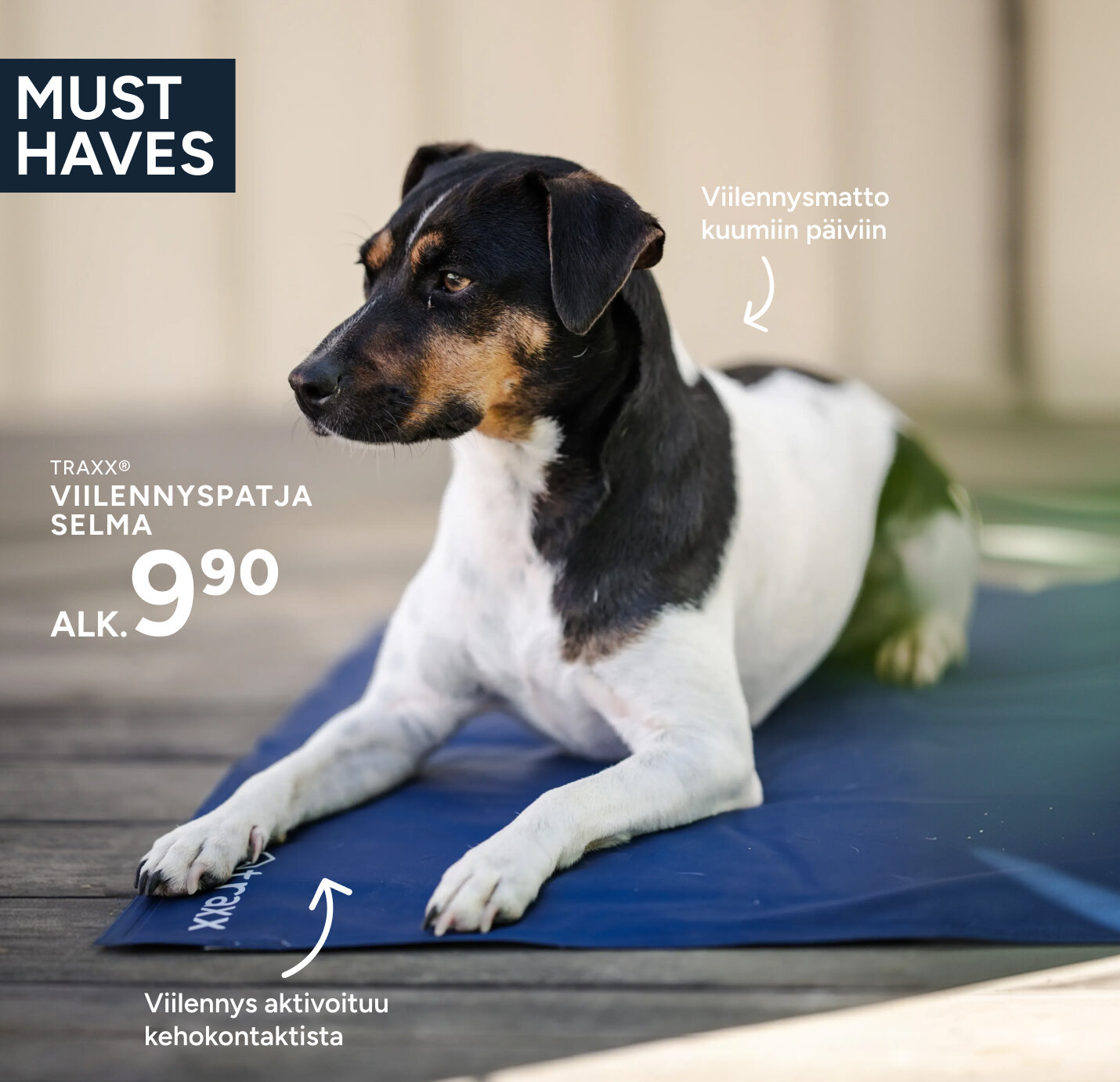 dog on a cooling mat