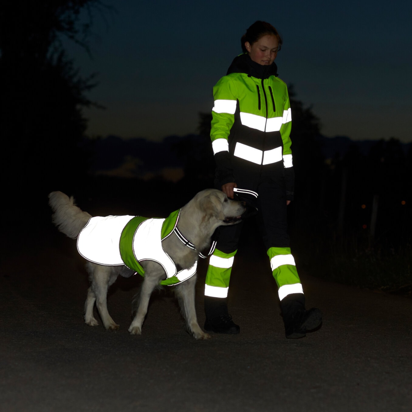 Heijastimet_koiralle