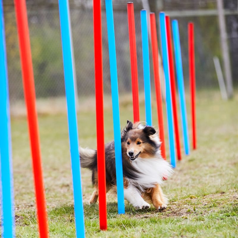 Agility Pujottelukepit traxx®