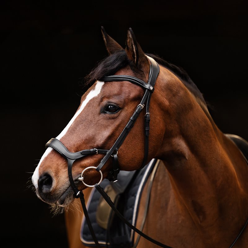 Suitset Derby Fairfield® Musta