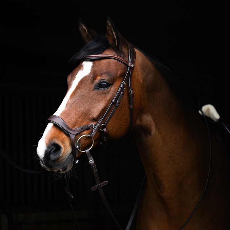 Suitset Derby Fairfield® Tummanruskea
