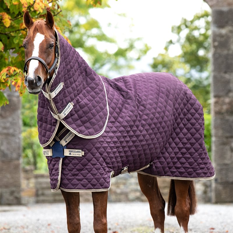 Talliloimi Amigo Stable Plus Medium 200 Horseware® Viininpunainen