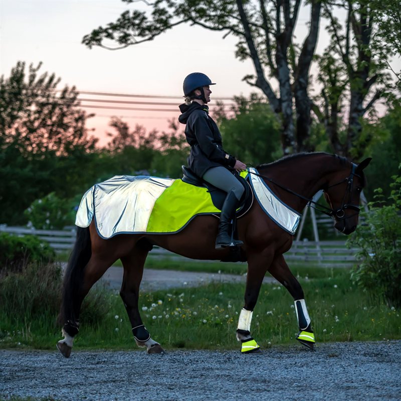 Heijastinloimi Bright rider Fairfield® Harmaa