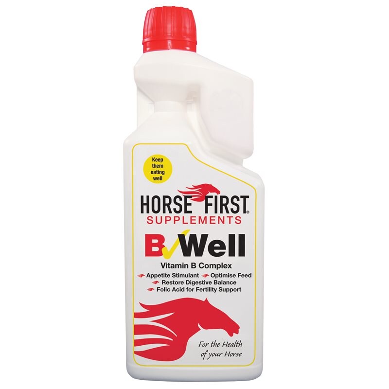 Lisäravinteet B well HORSE FIRST®