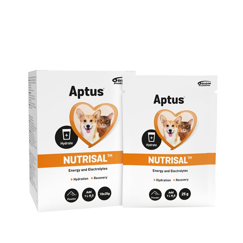 Lisäravinne Nutrisal 10 x 25 g Aptus