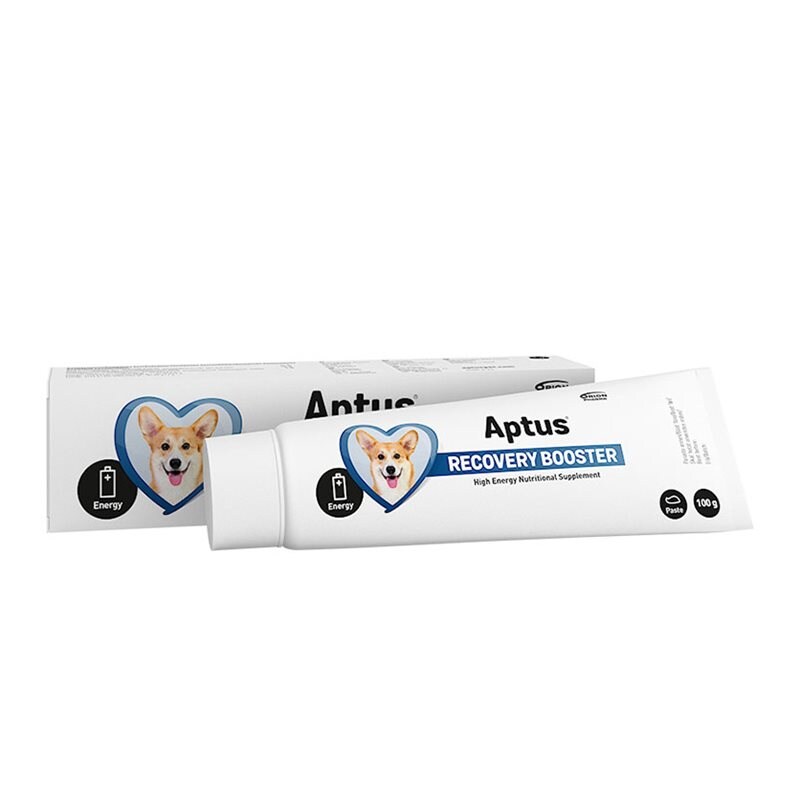 Lisäravinne Recovery Booster Aptus