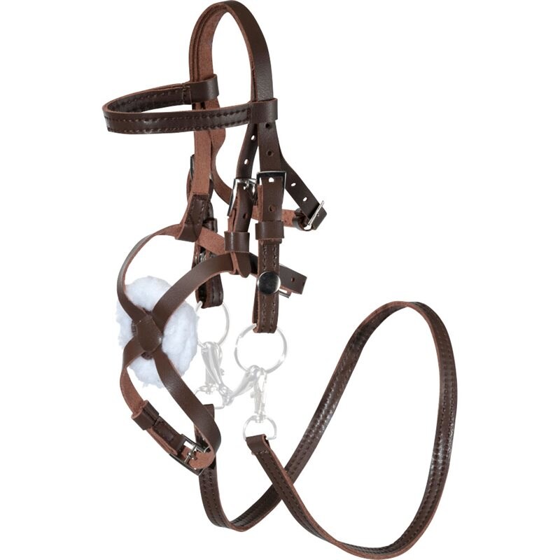 Keppihevosen suitset Mexico mini Fairfield® Ruskea