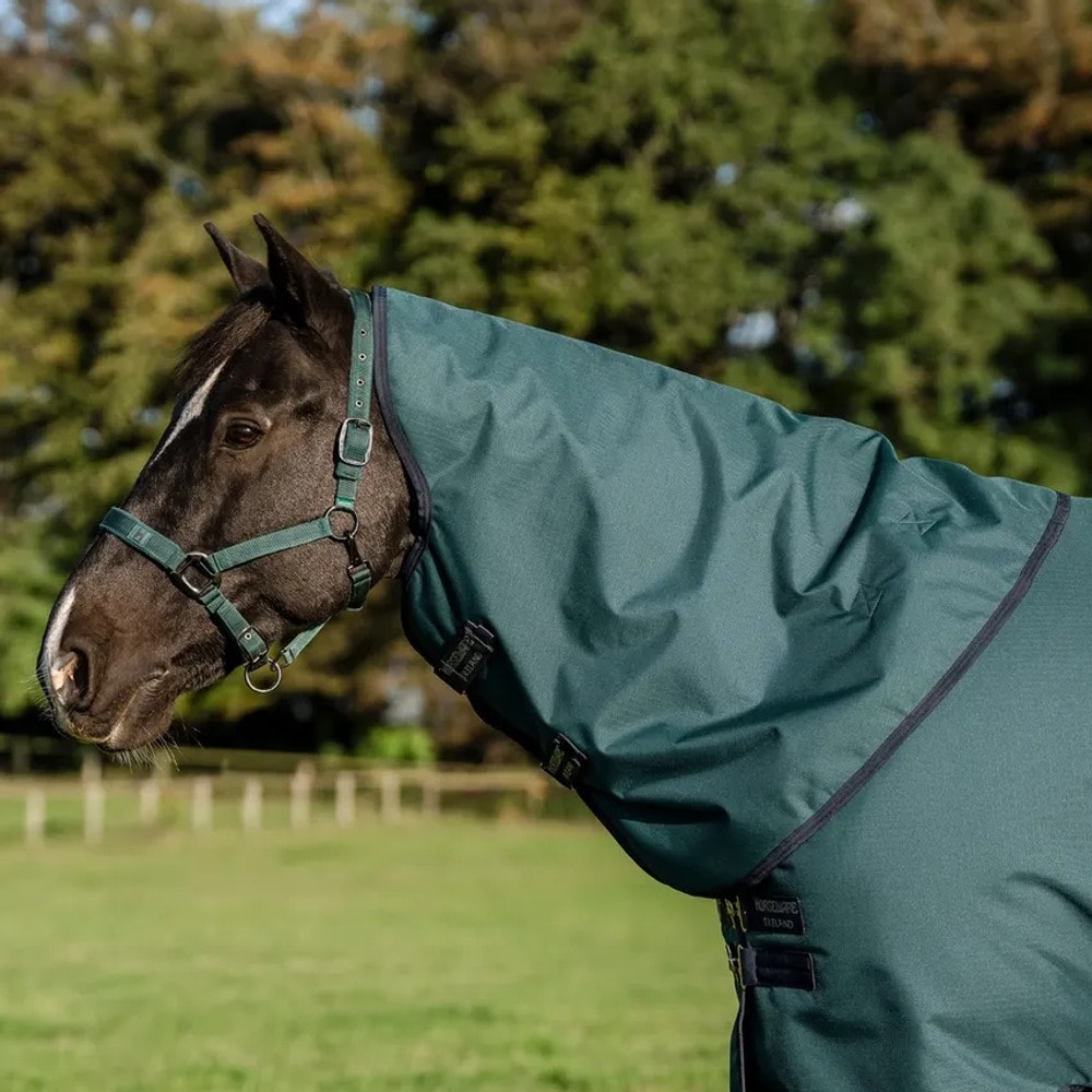 Loimi Amigo Ripstop 900D Plus Turnout 200g Horseware®