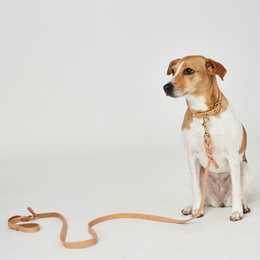 Talutin Nahkaa Stroll traxx®