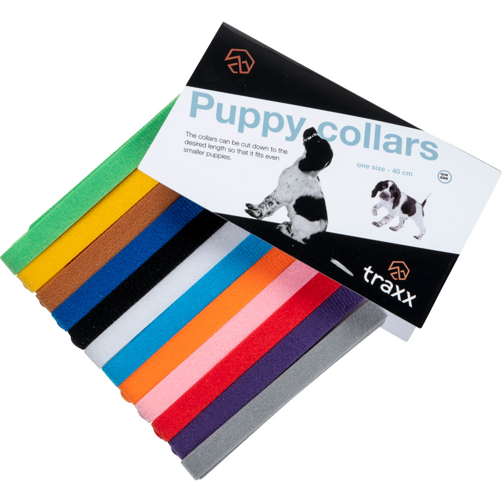 Panta  Puppy ID Collar traxx®