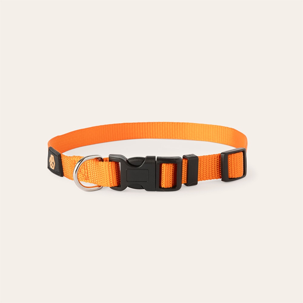 Panta Koira Colour 2.0 traxx®