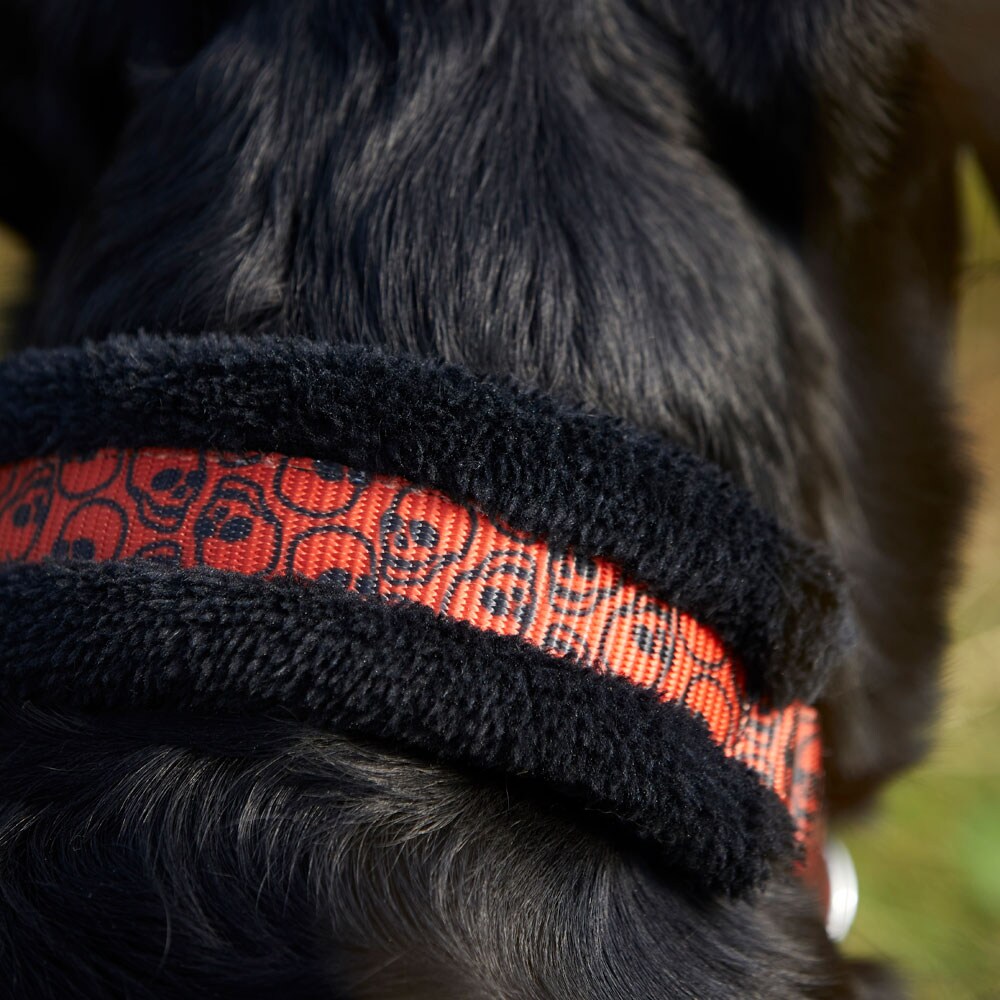 Panta Puolikiristävä Casper traxx®