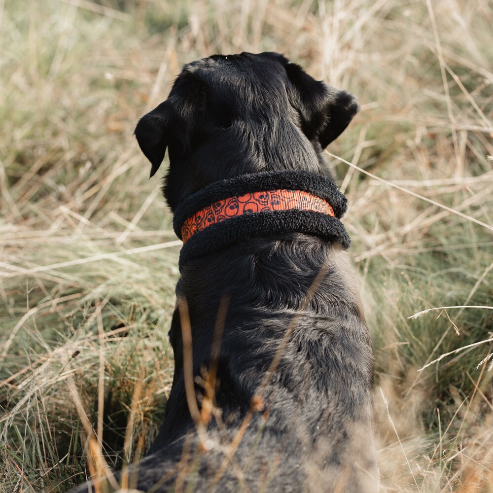 Panta Puolikiristävä Casper traxx®