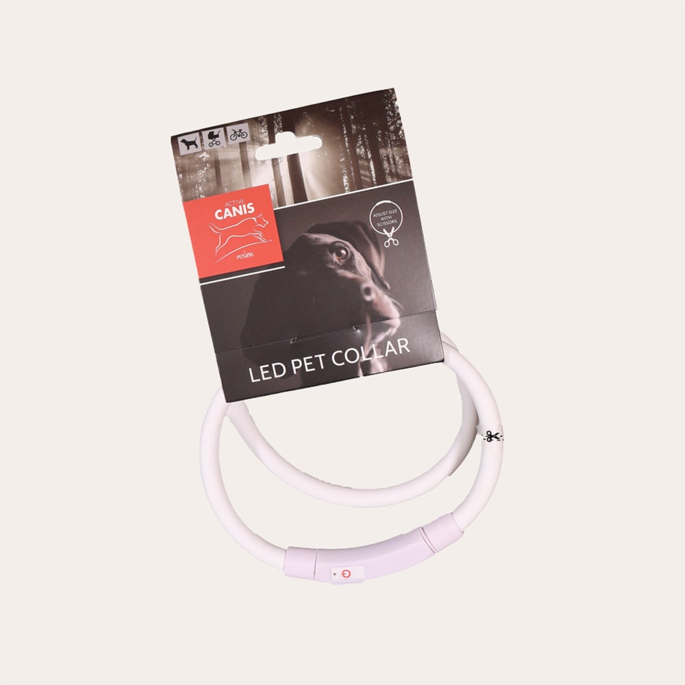 Panta  LED Pet Collar Active Canis