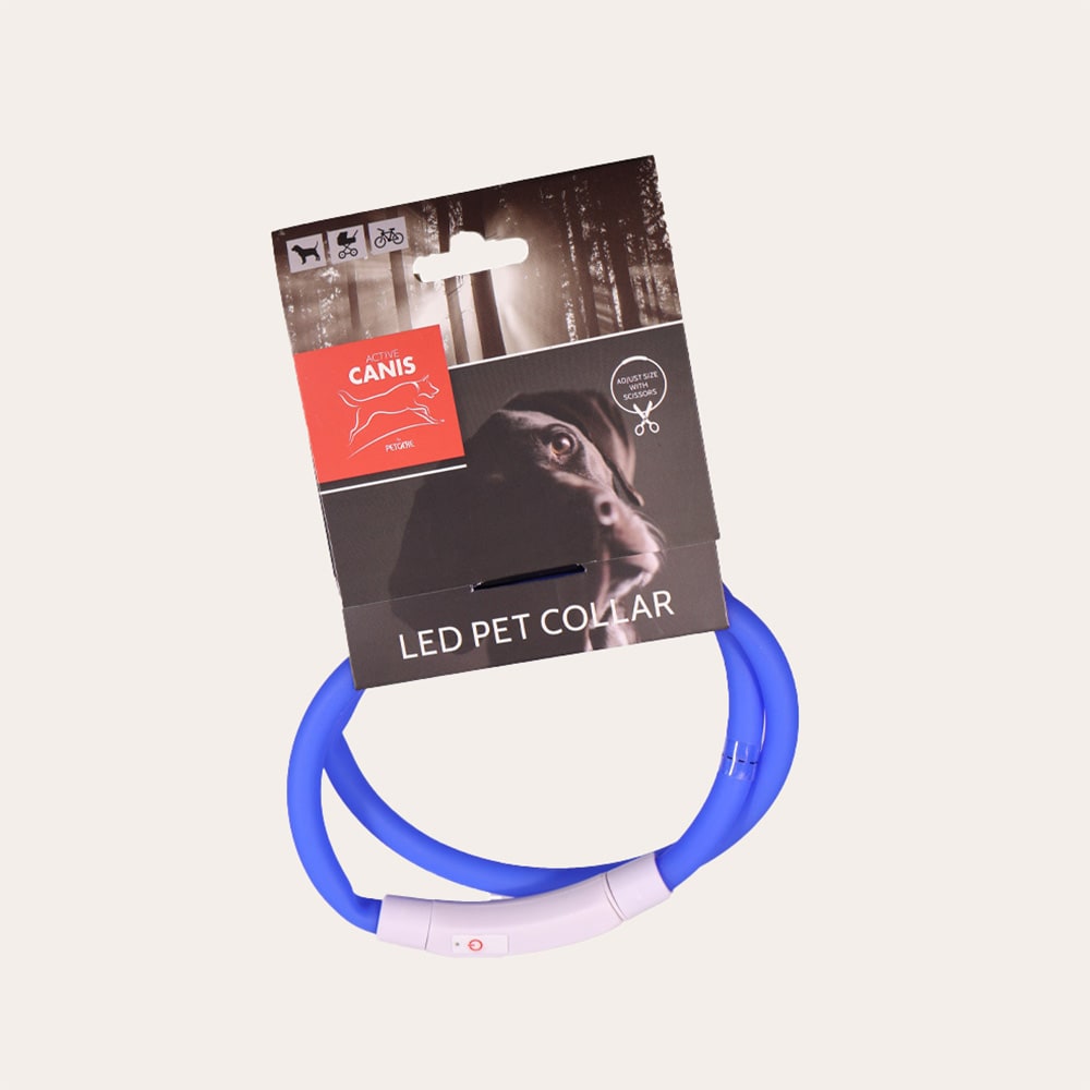 Panta  LED Pet Collar Active Canis