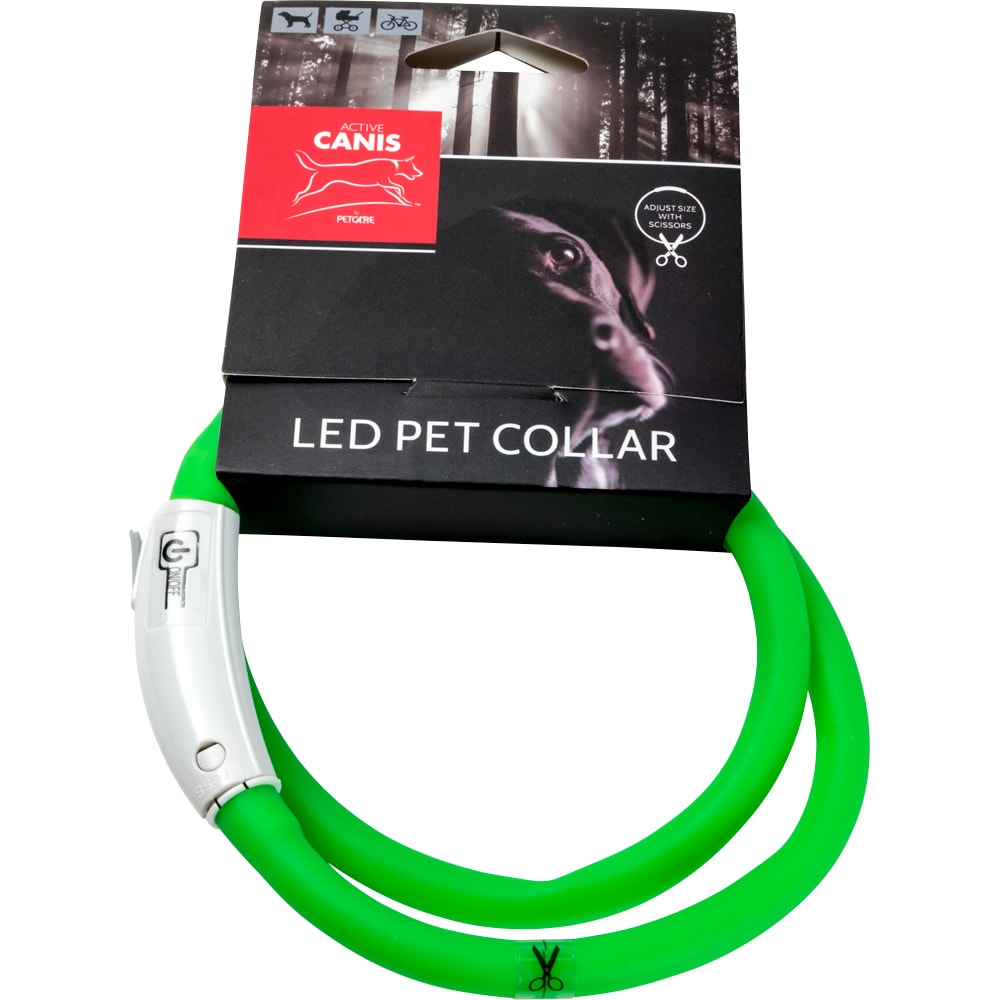 Panta  LED Pet Collar Active Canis