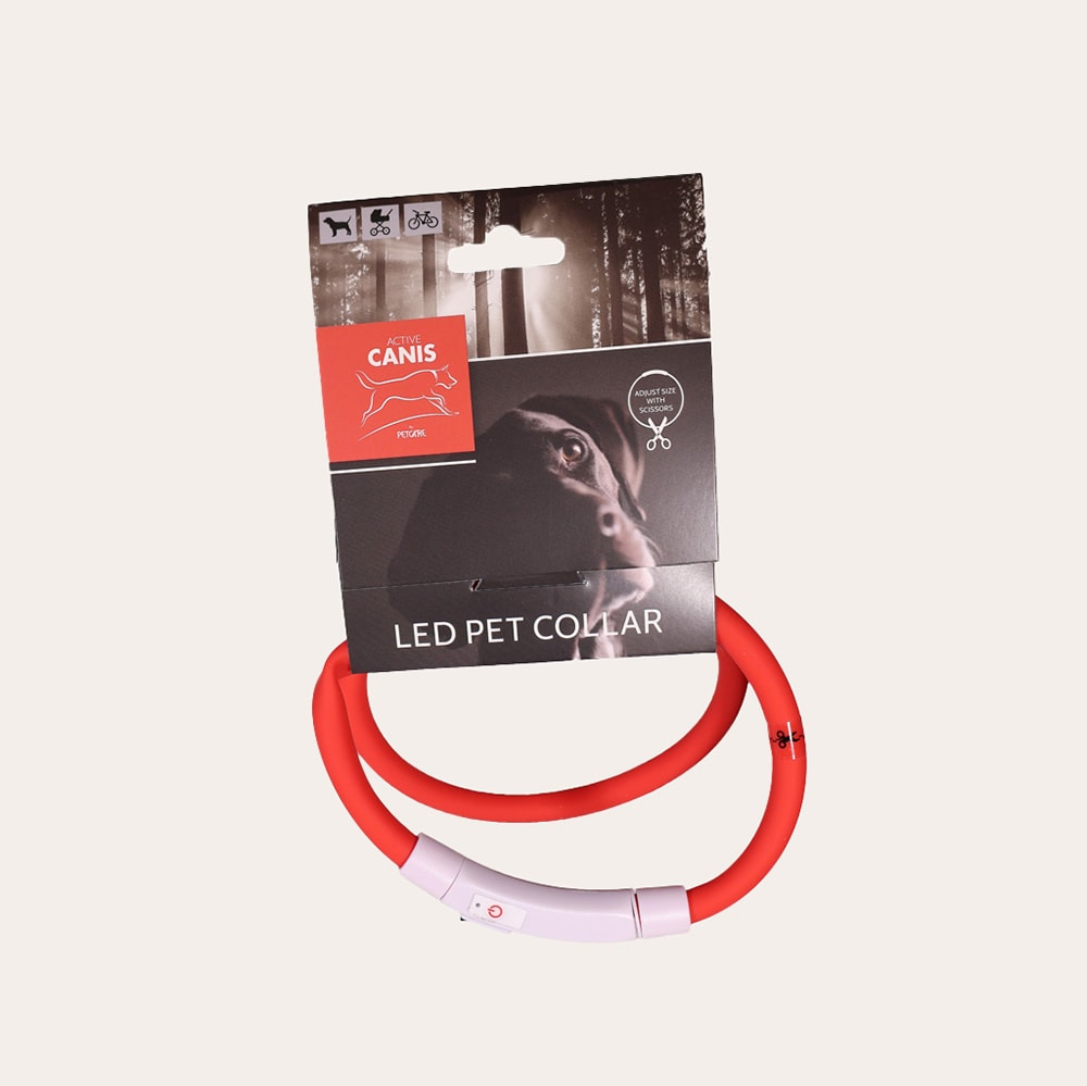 Panta  LED Pet Collar Active Canis