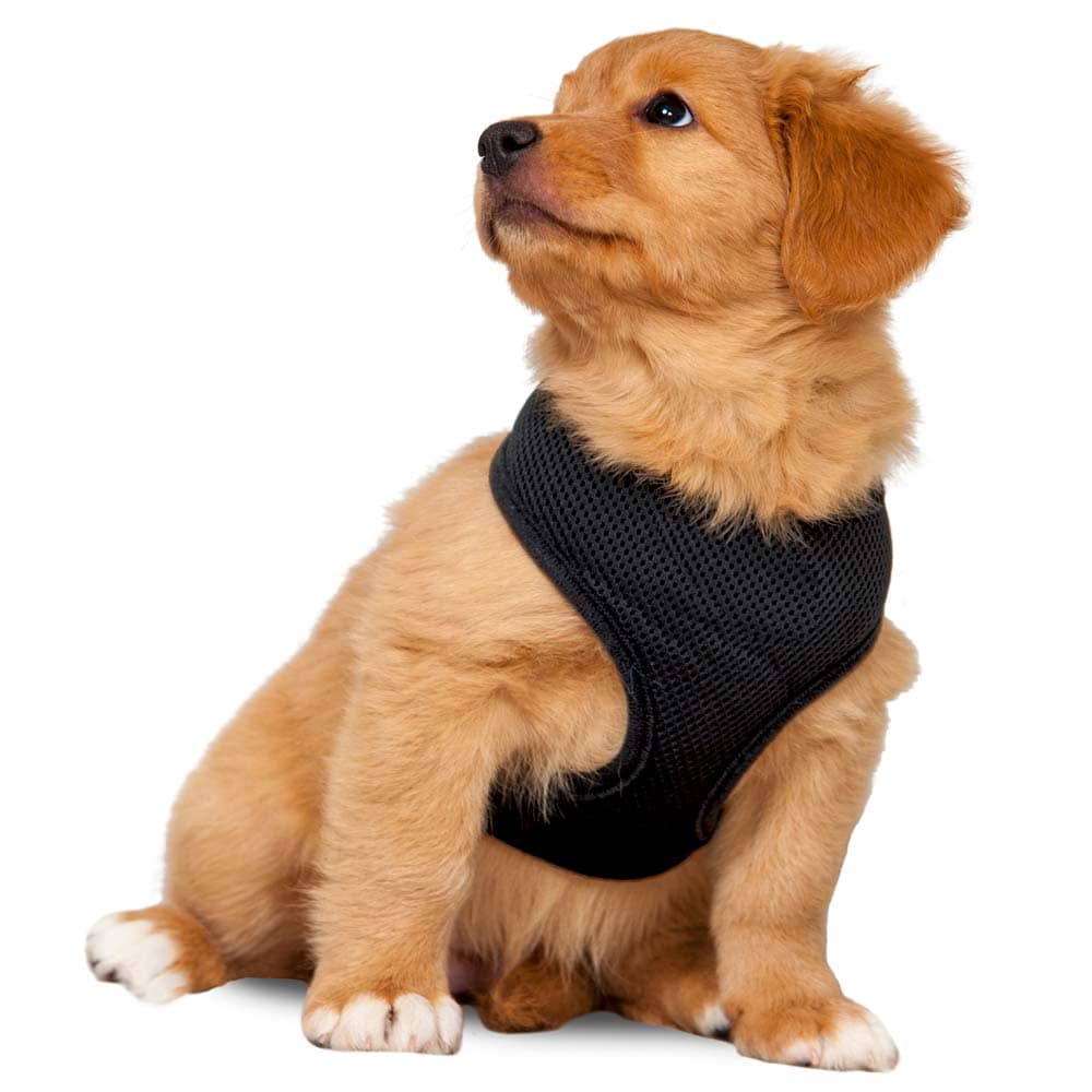 Valjaat  Puppy traxx®