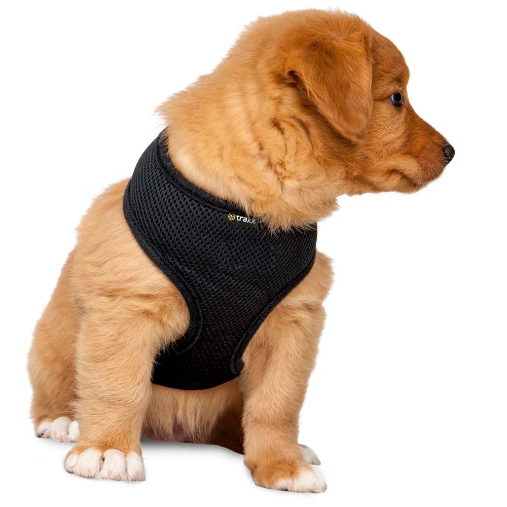 Valjaat  Puppy traxx®