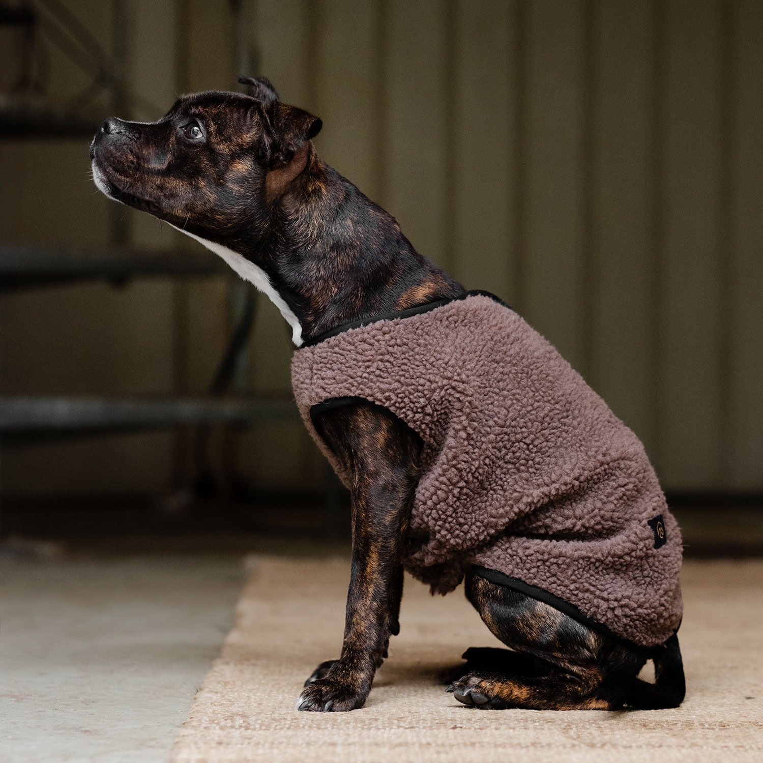 Koirantakki Fleece Sinclair traxx®
