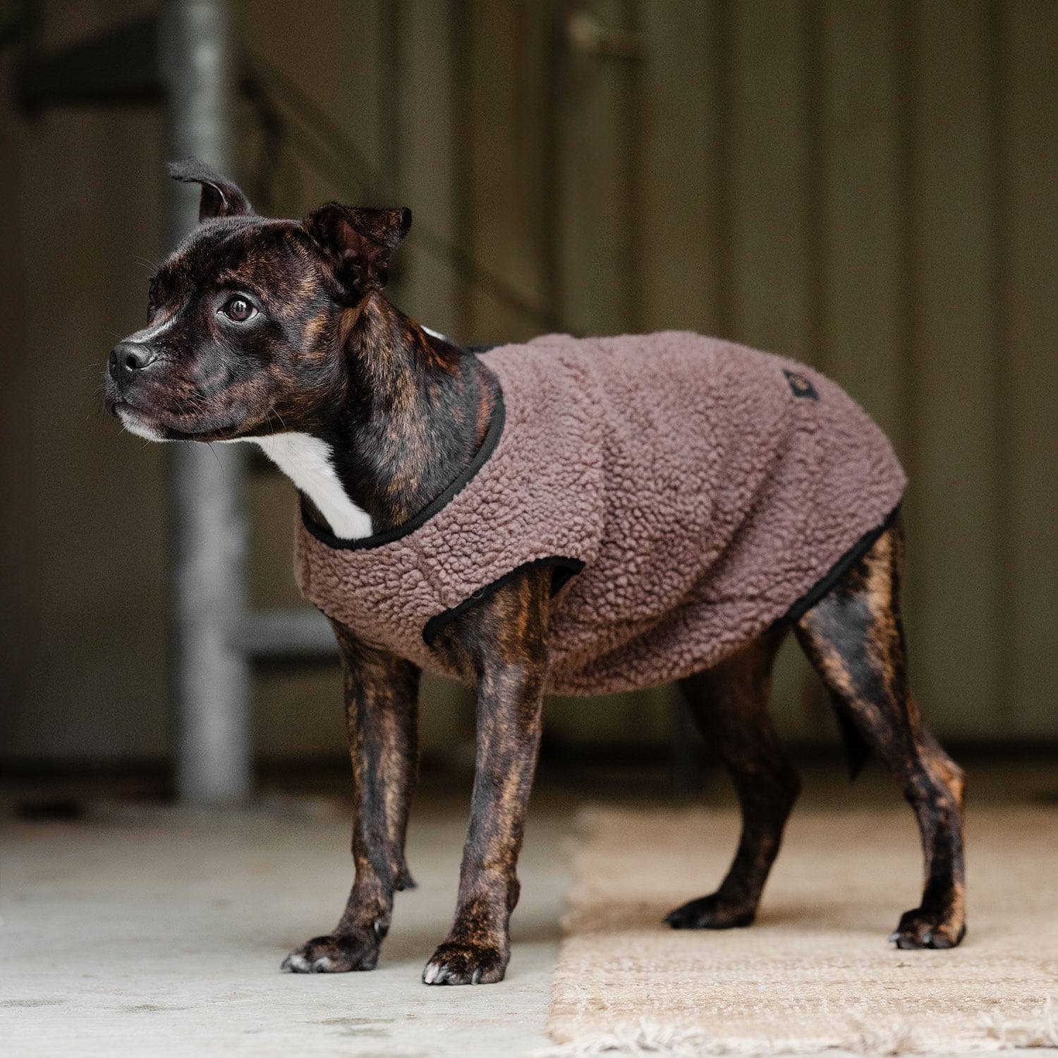Koirantakki Fleece Sinclair traxx®