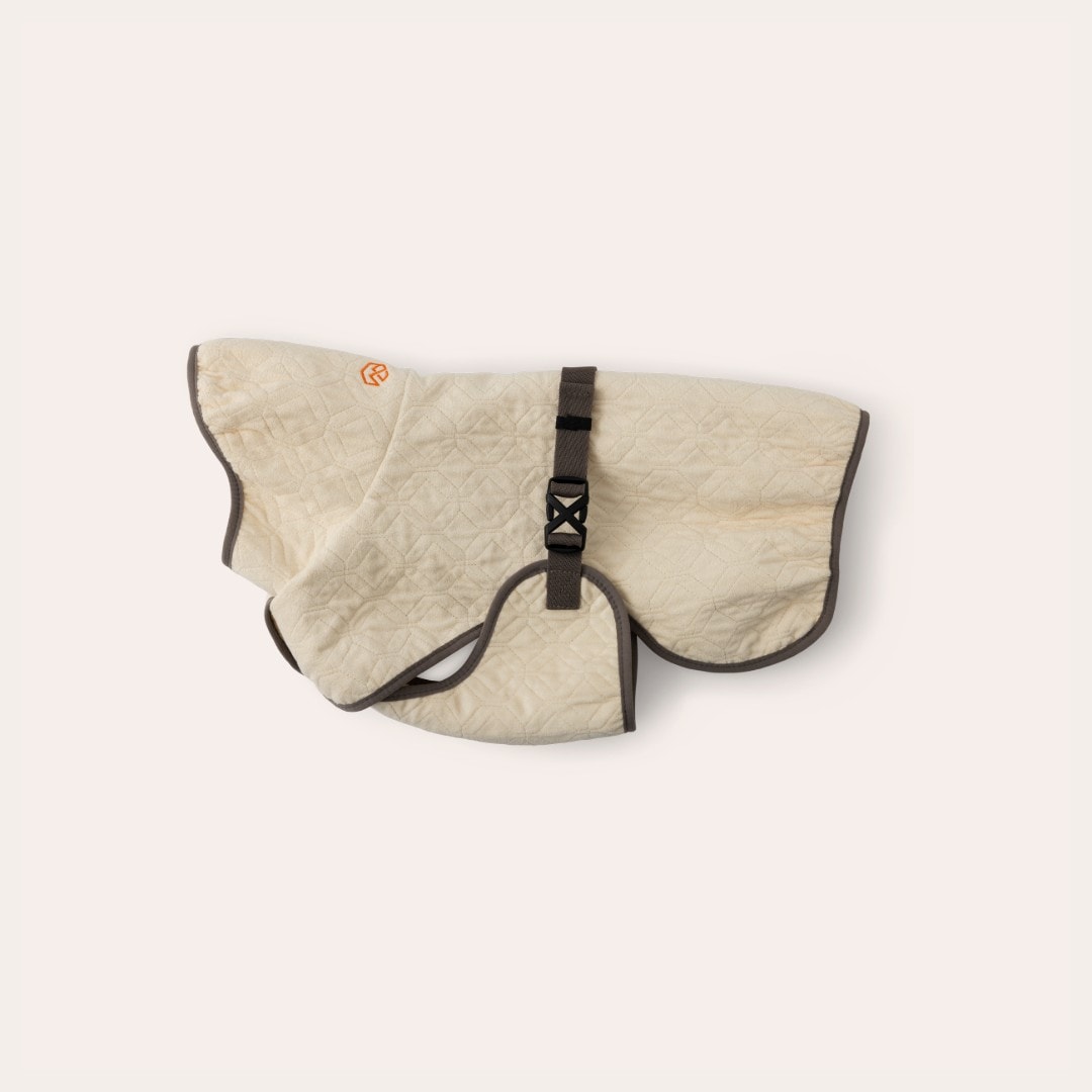 Koirantakki Carter Dry traxx®