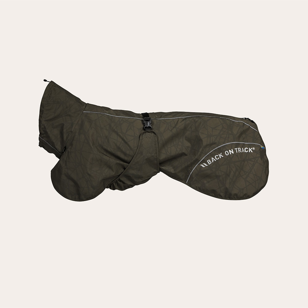 Sadeloimi Koira Bay Back on Track®