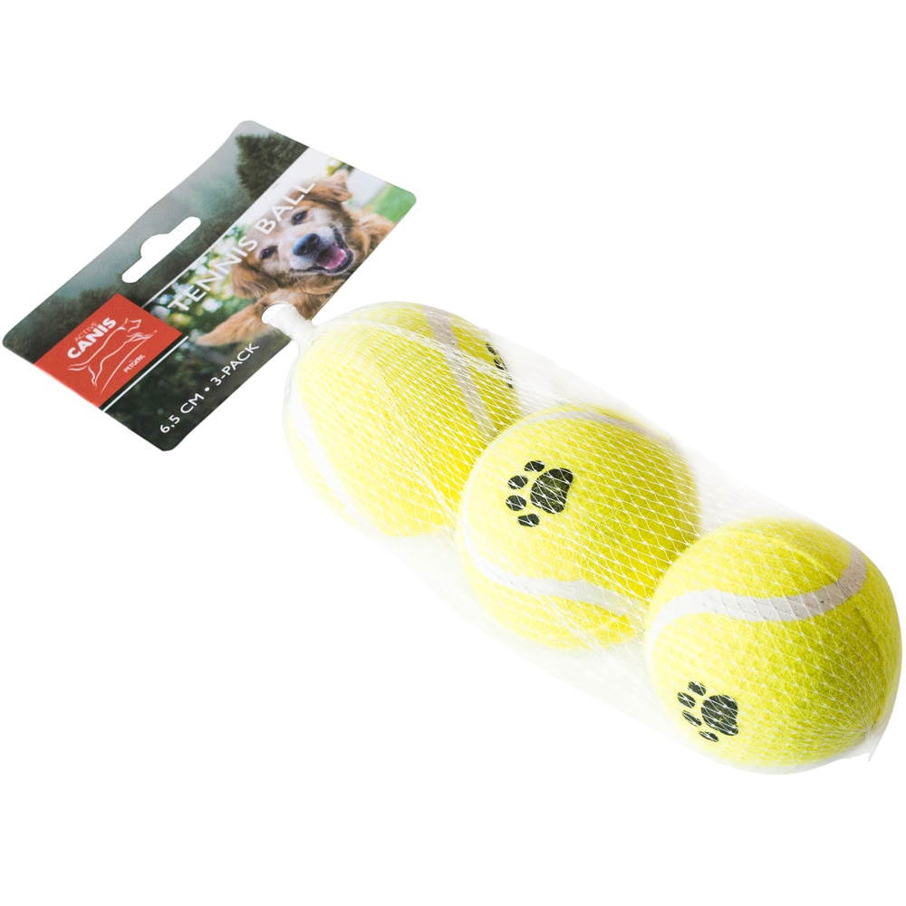 Tennispallo 3 kpl.  Active Canis