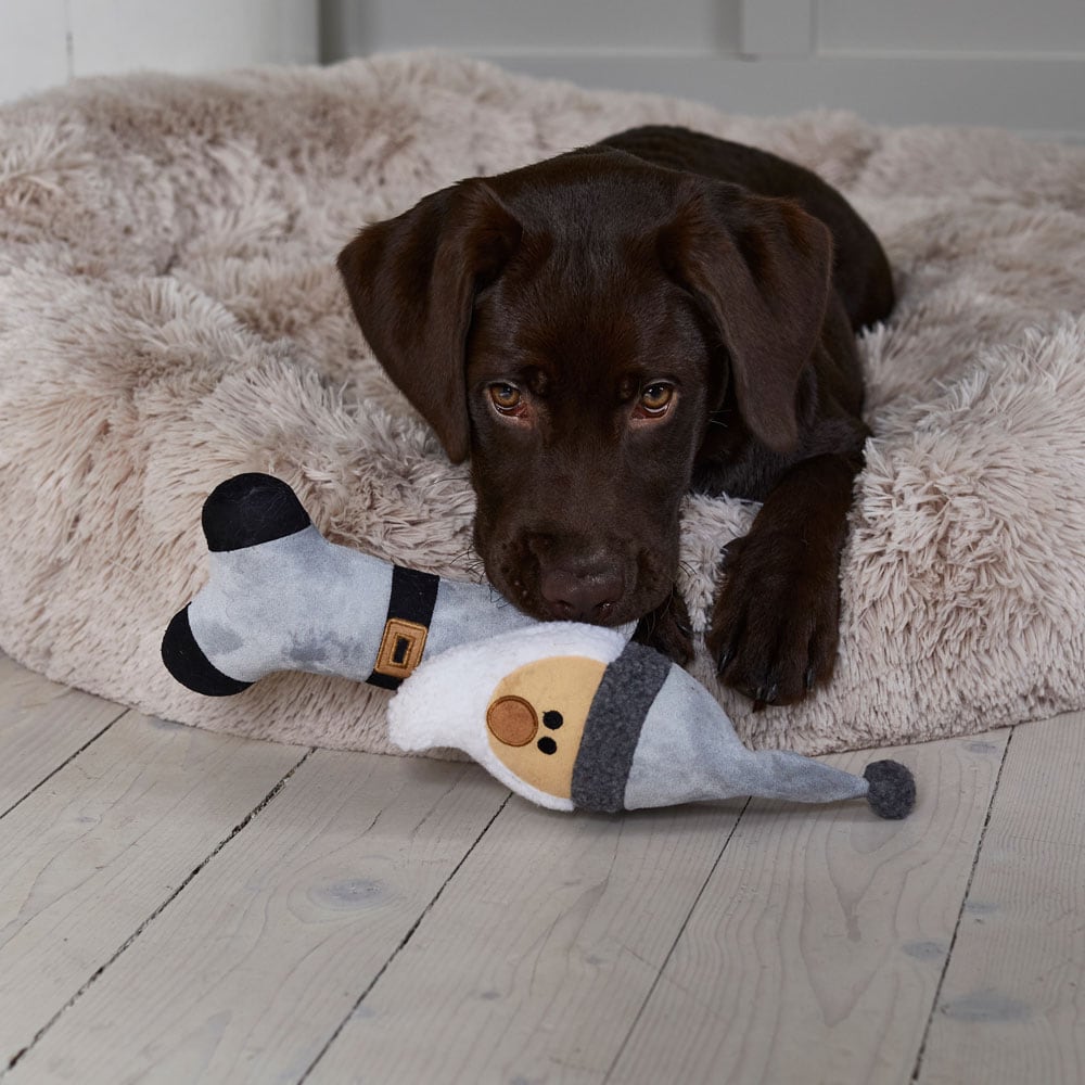 Koiranlelu Sten traxx®