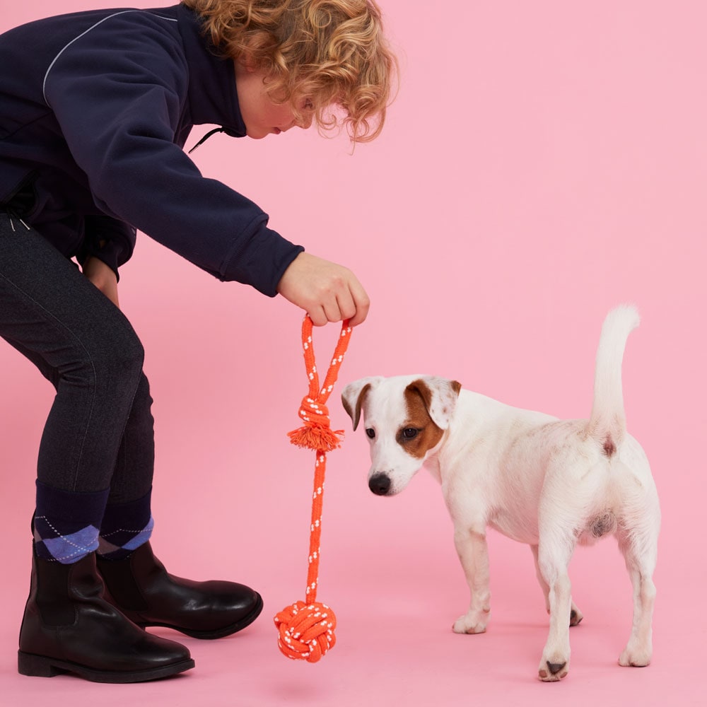 Koiranlelu Rover traxx®