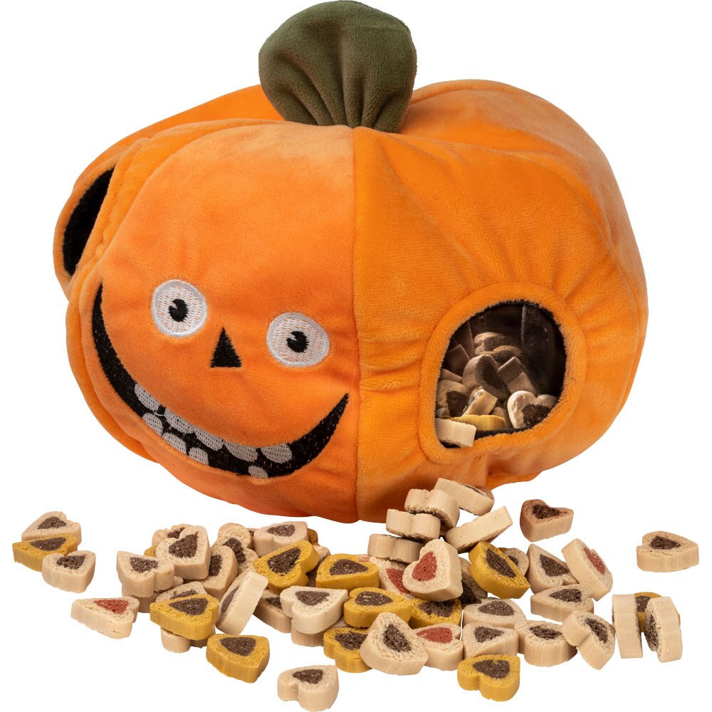 Koiranlelu Jack traxx®