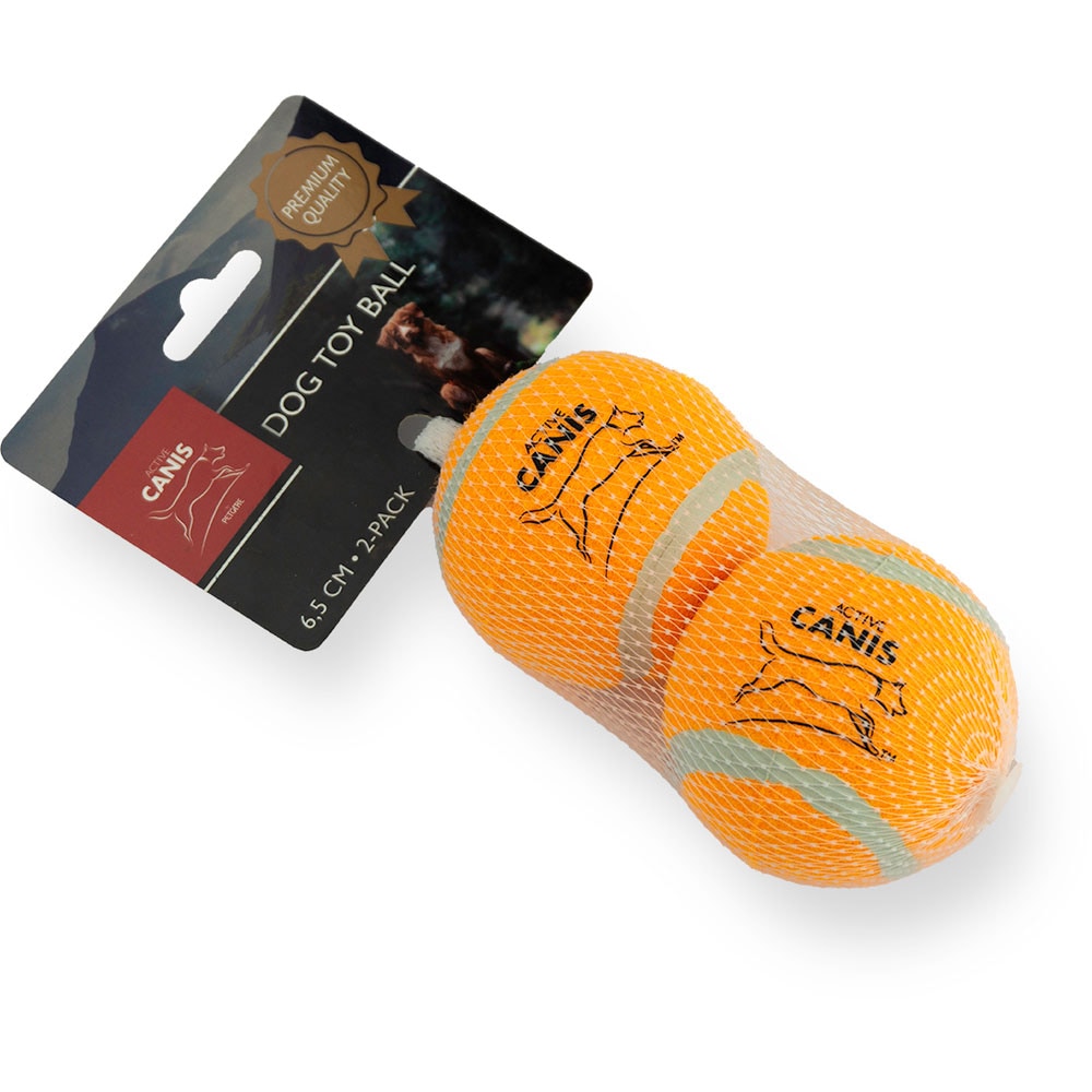 Tennispallo  2-pack Active Canis