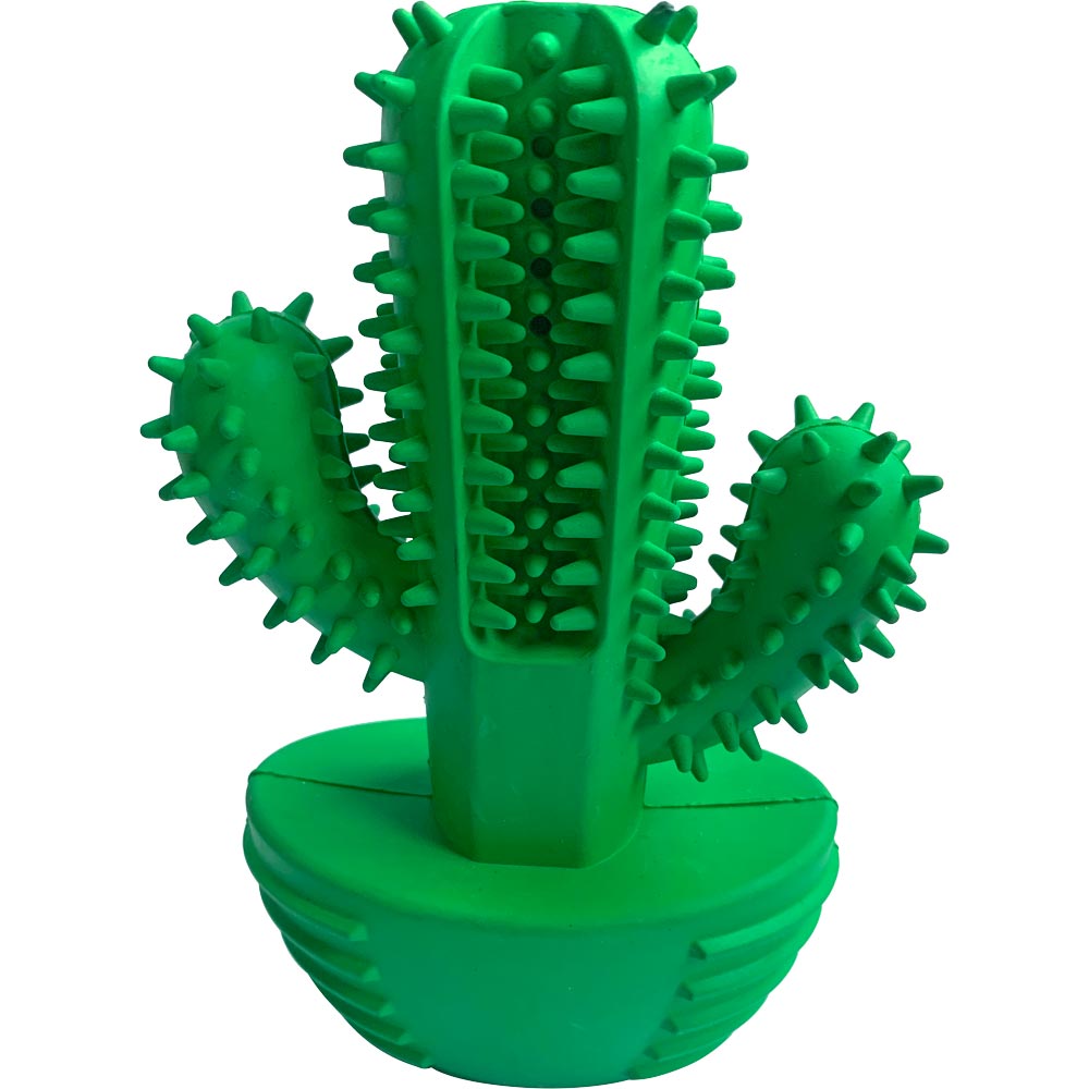 Koiranlelu  Cactus Kayoba
