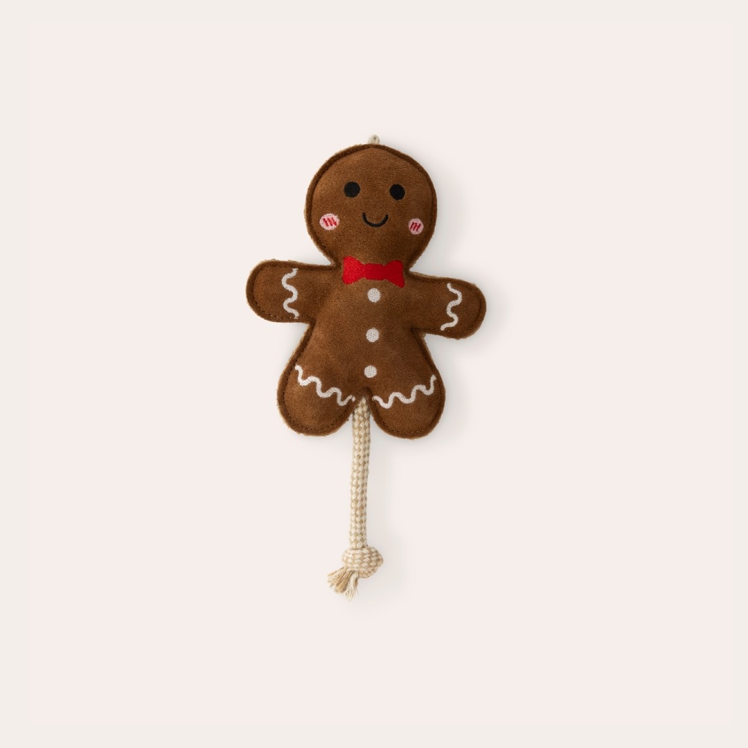Koiranlelu Gingerbread traxx®
