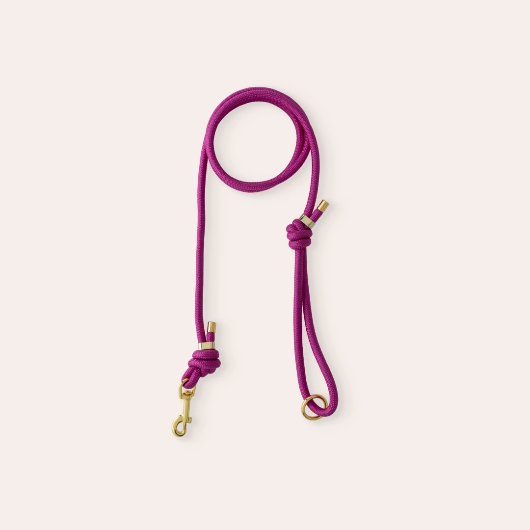 Talutin Koira April traxx®