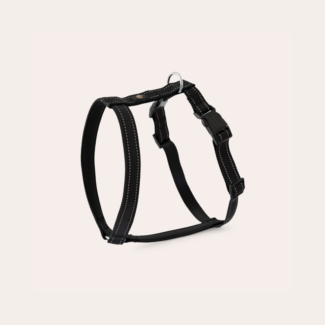 Y-valjaat Base 2.0 traxx®