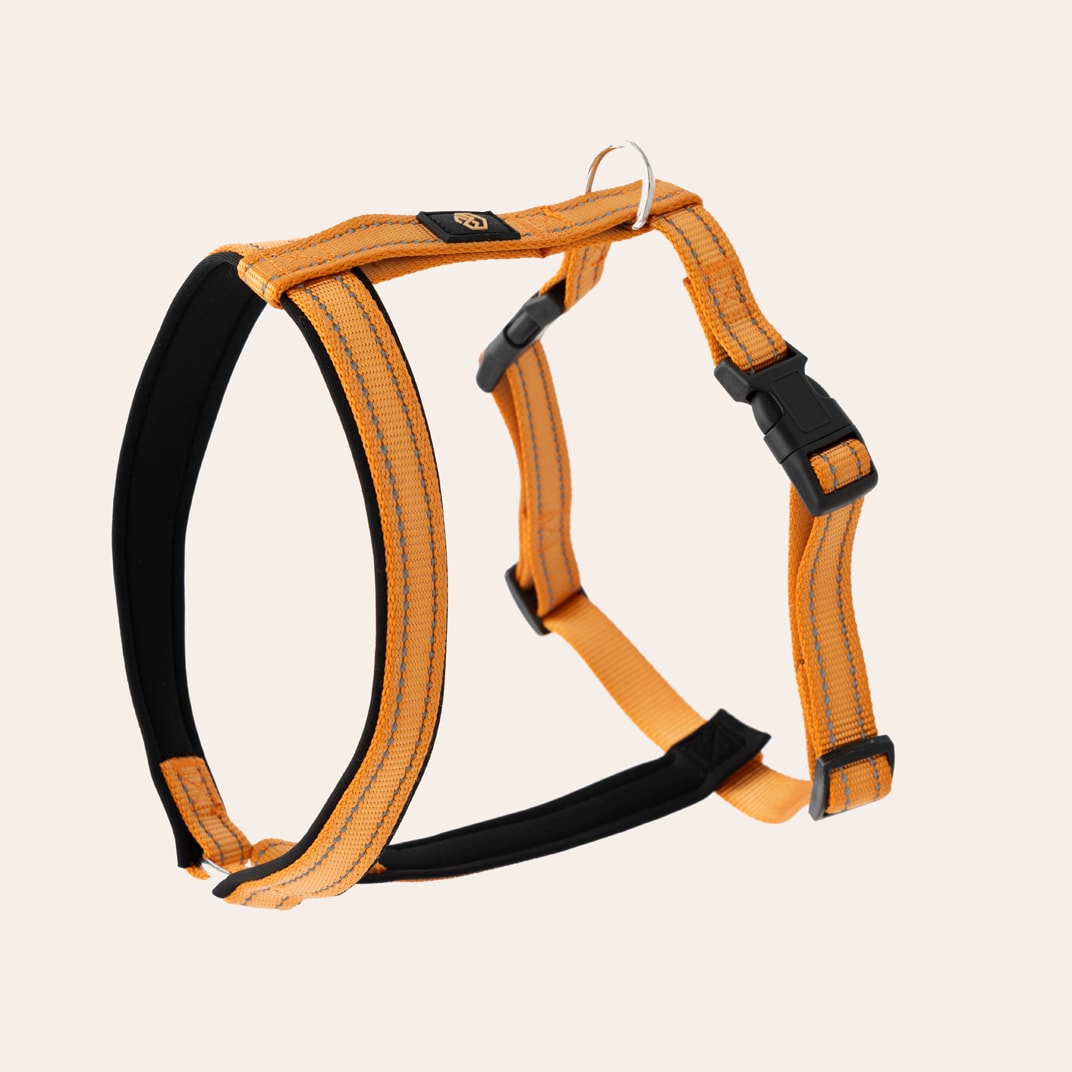 Y-valjaat Base 2.0 traxx®