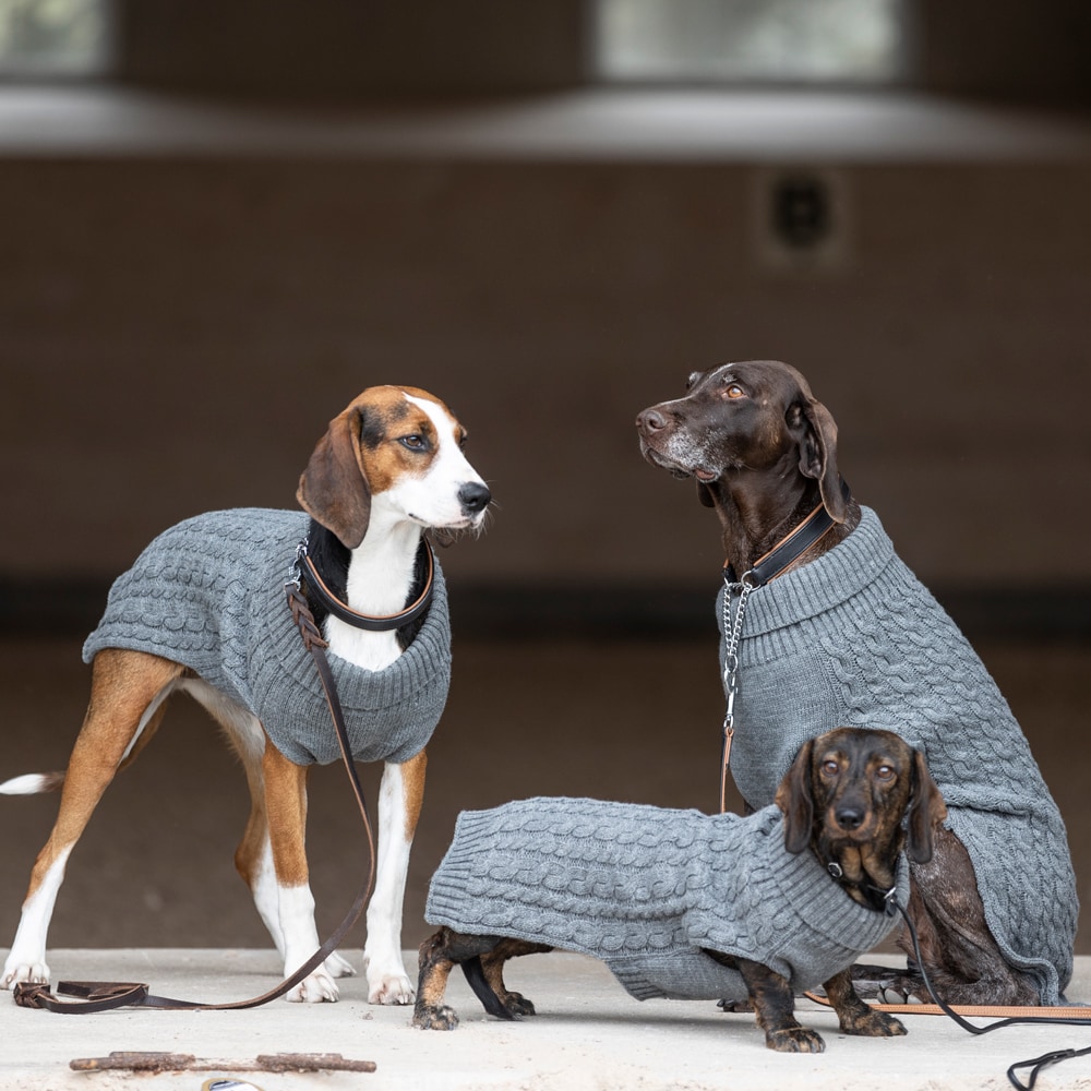 Koiraneule Robin Showmaster®