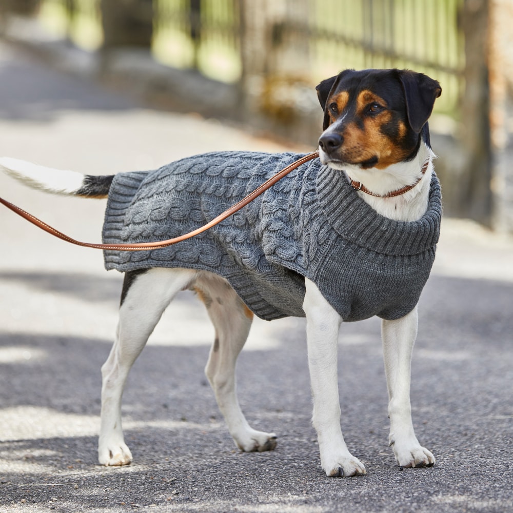 Koiraneule Robin Showmaster®