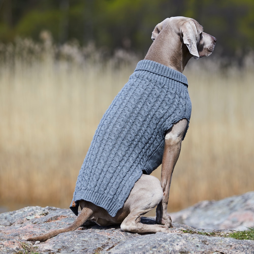 Koiraneule Robin Showmaster®