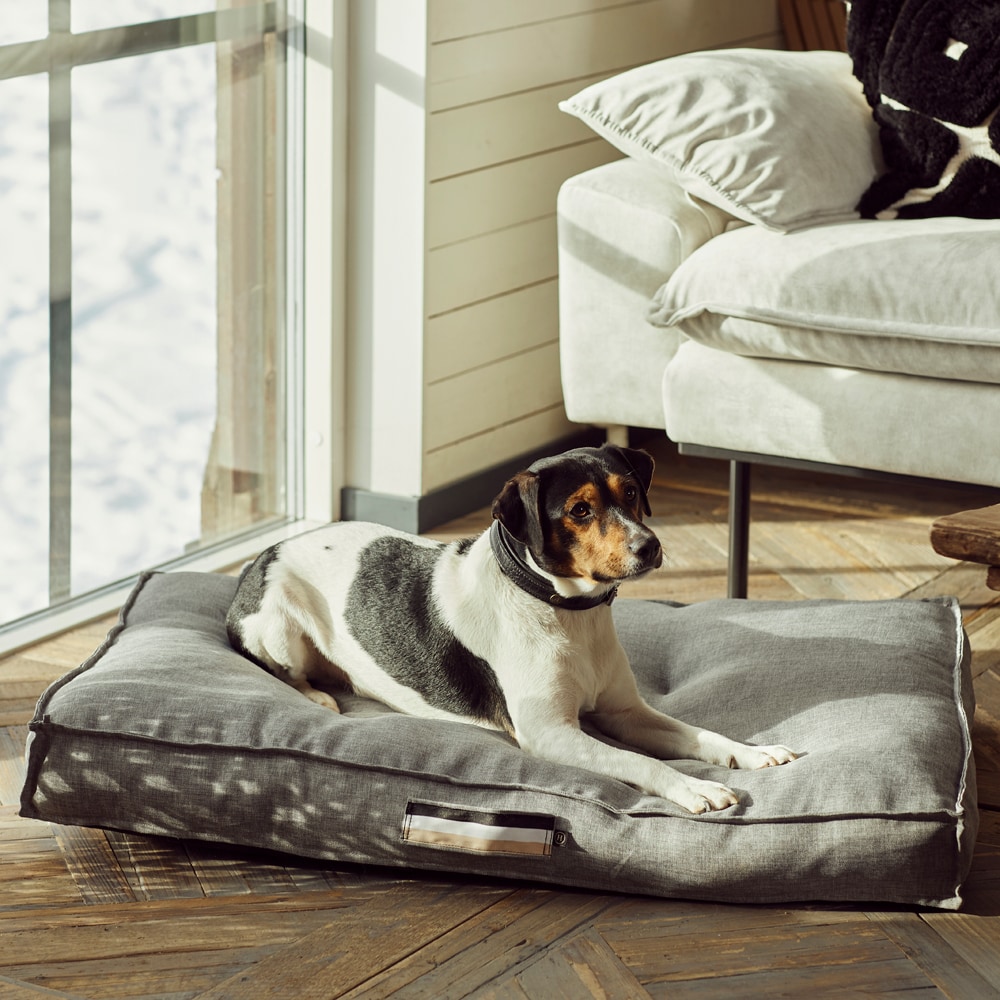 Koiranpeti Luzzi JH Collection®