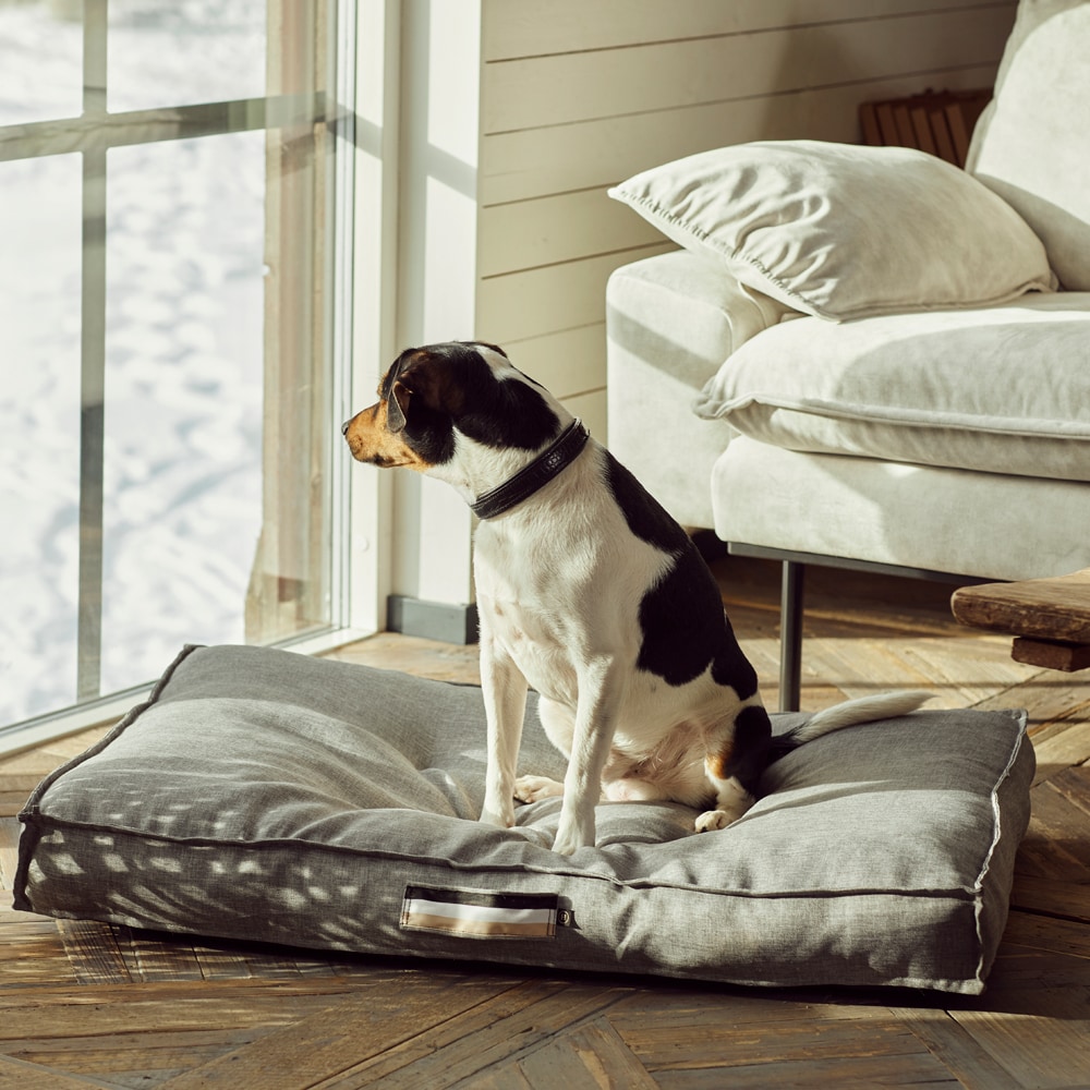 Koiranpeti Luzzi JH Collection®