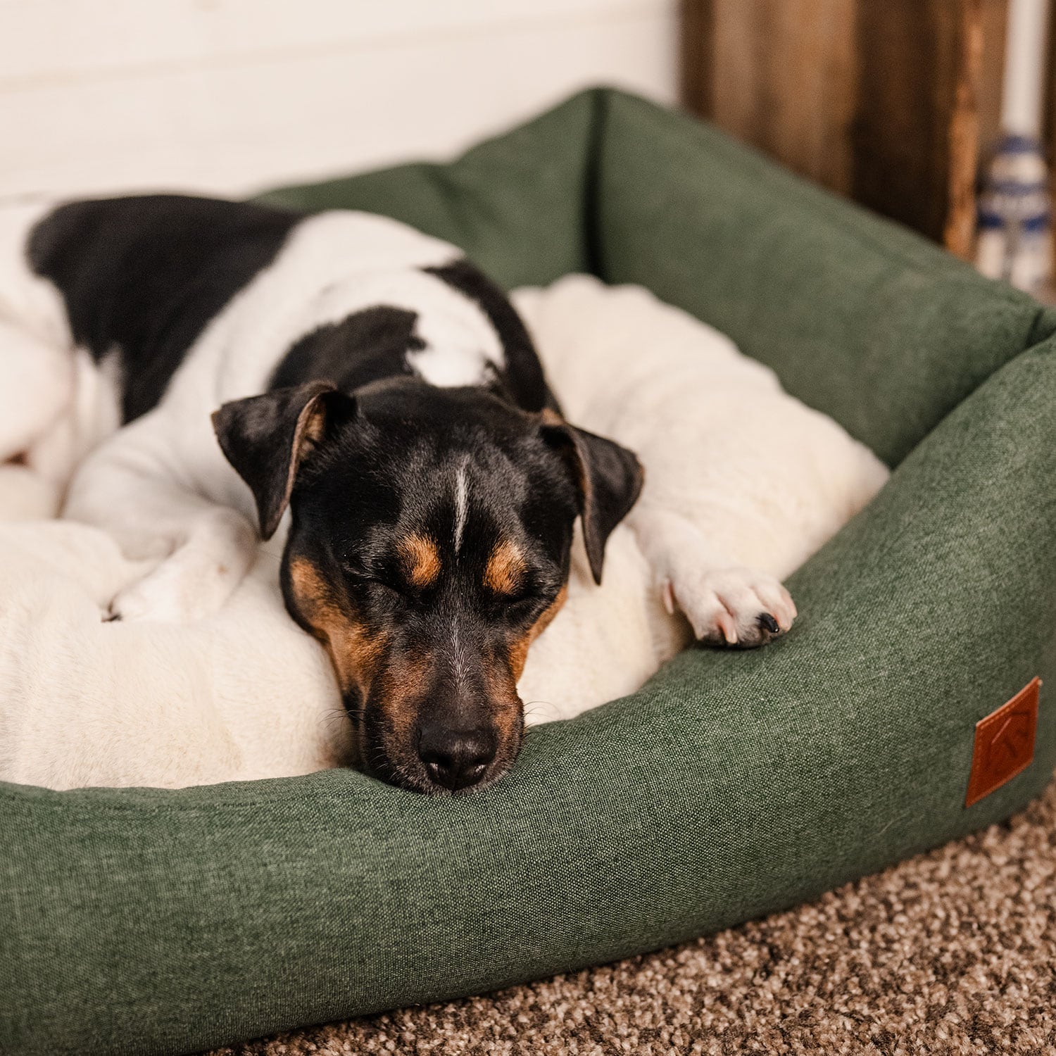 Koiranpeti Ezana traxx®