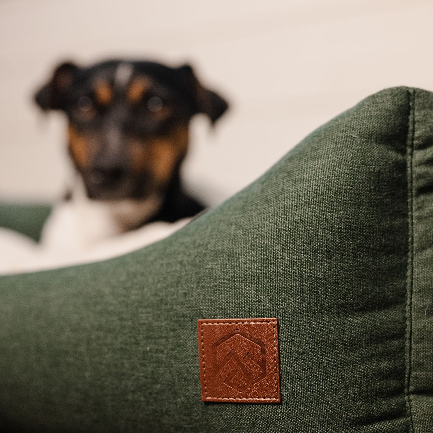 Koiranpeti Ezana traxx®