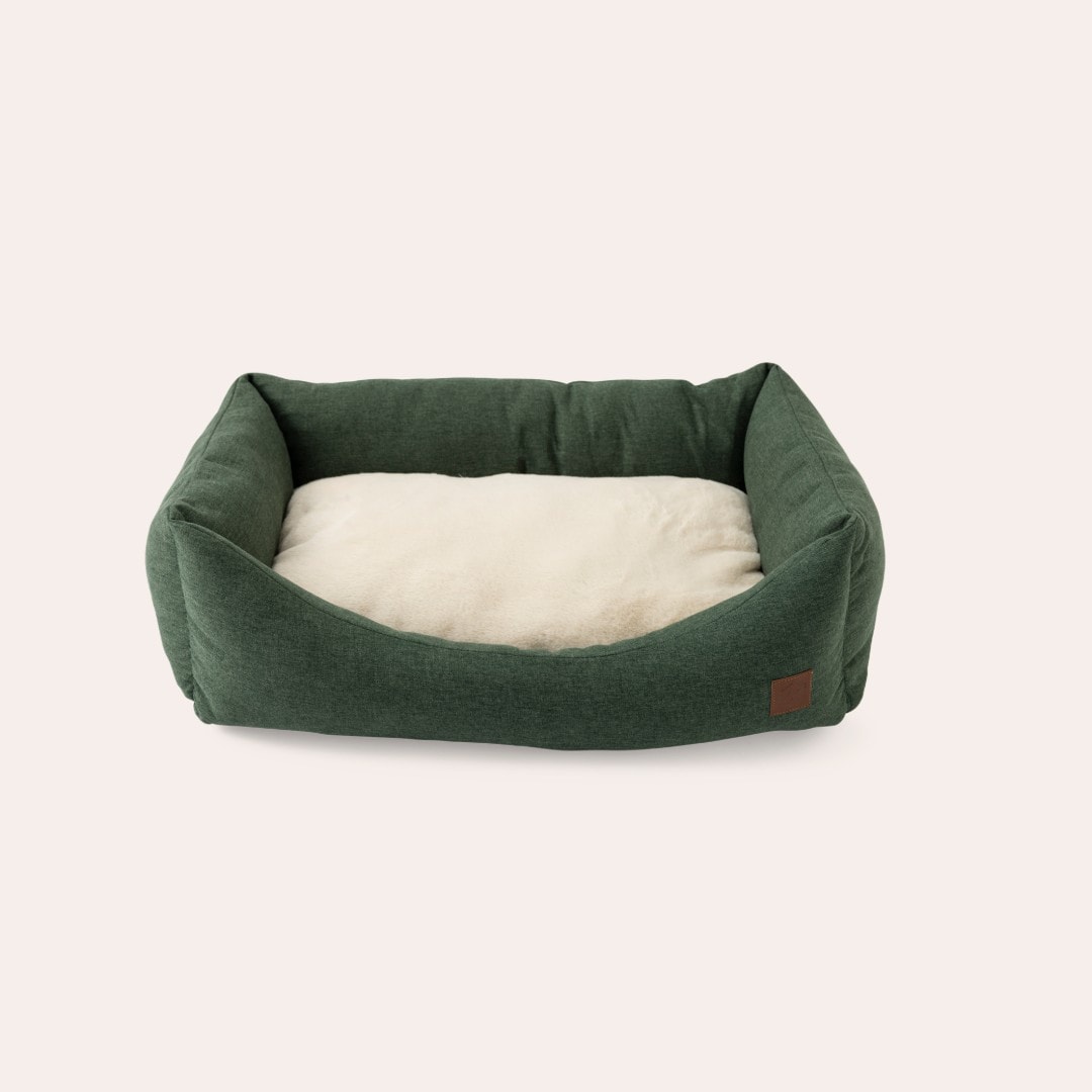 Koiranpeti Ezana traxx®