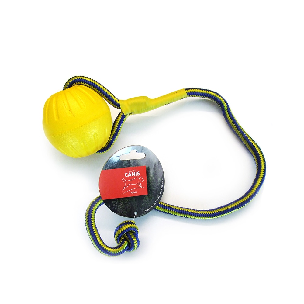 Koiranlelu  Floating boll Active Canis