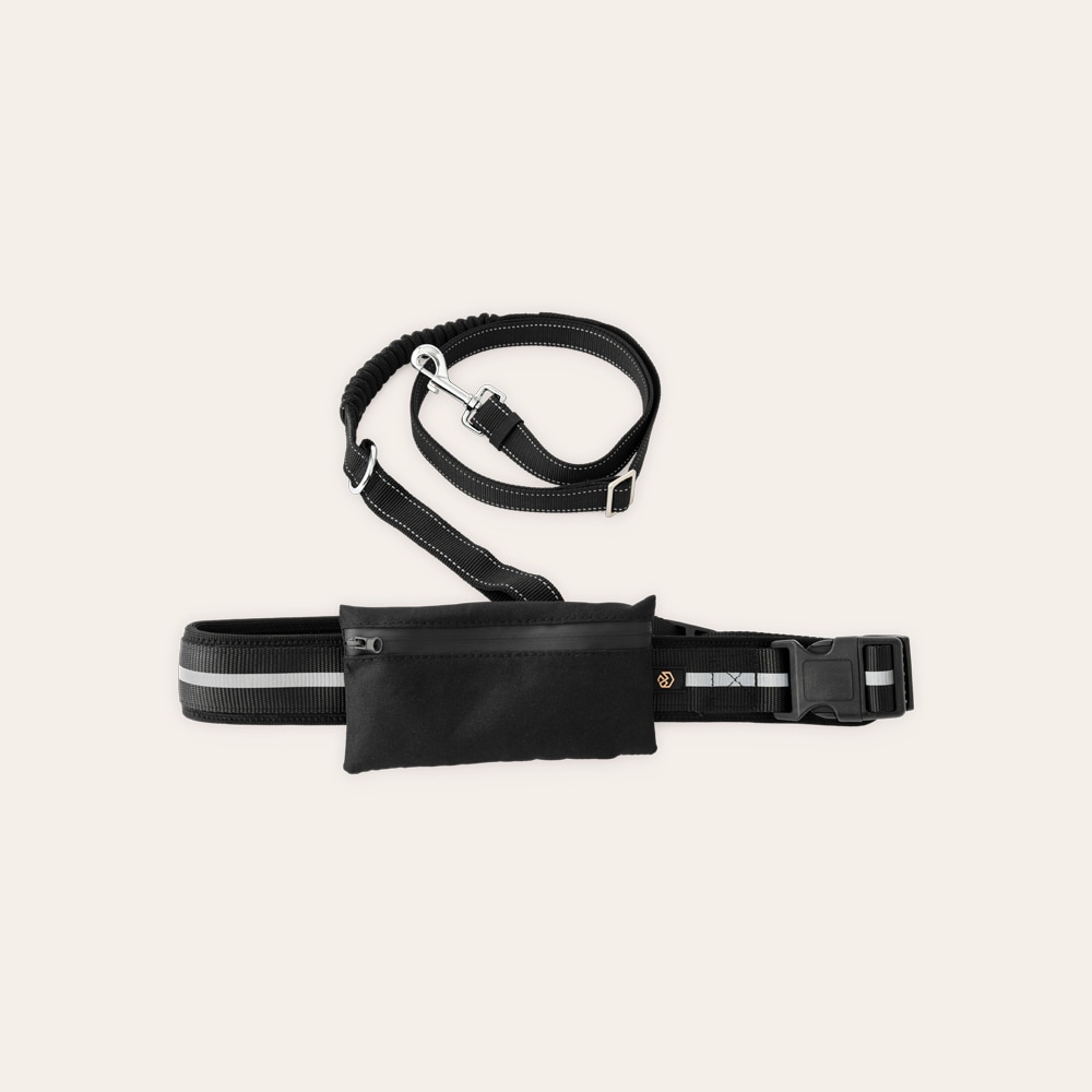 Juoksuvyö koiran taluttimelle Rapid Running traxx®