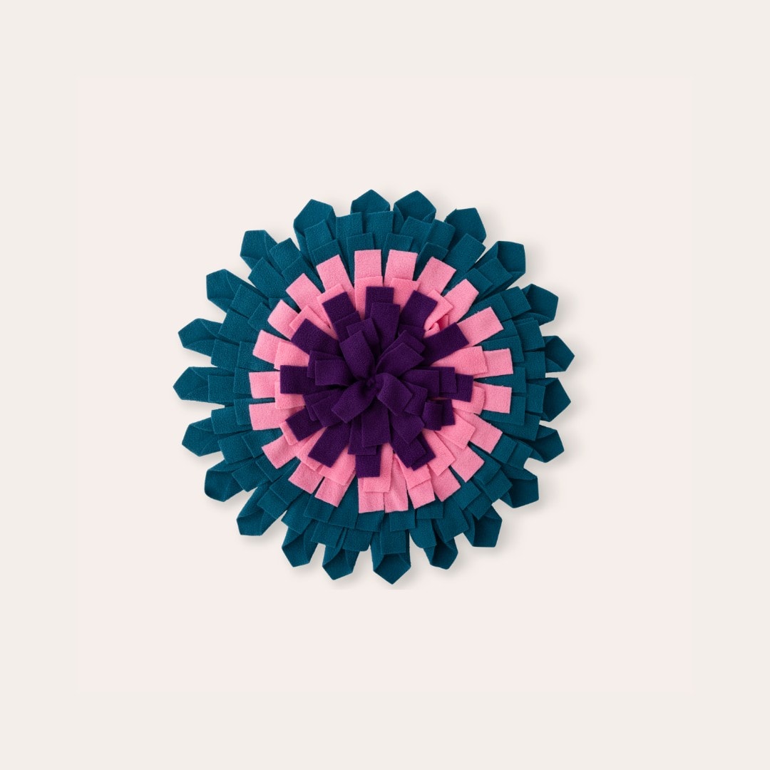 Matto Koira Flower Seeking traxx®